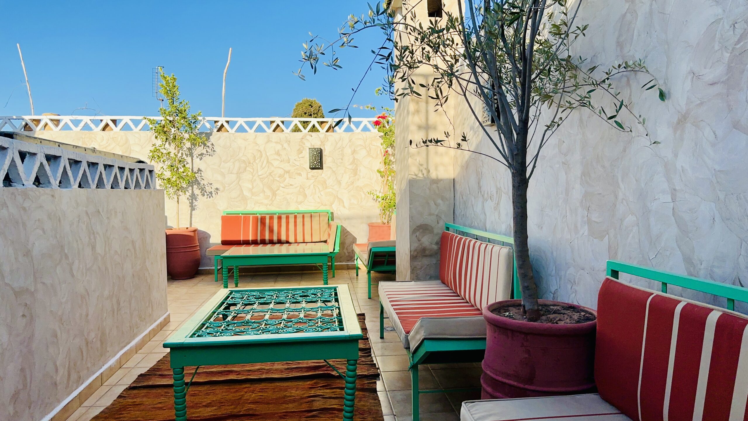 Rooftop Relaxation